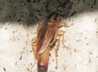 7.7 Even one is too many (2)